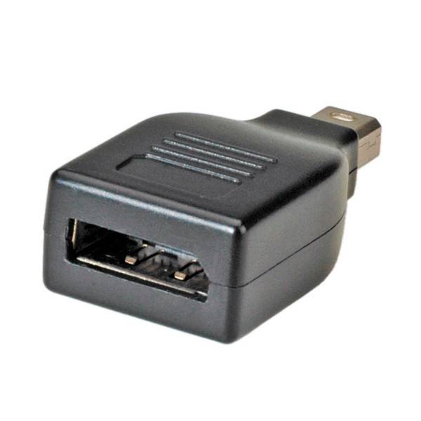 Adapter Displayport/Mini-Displayport