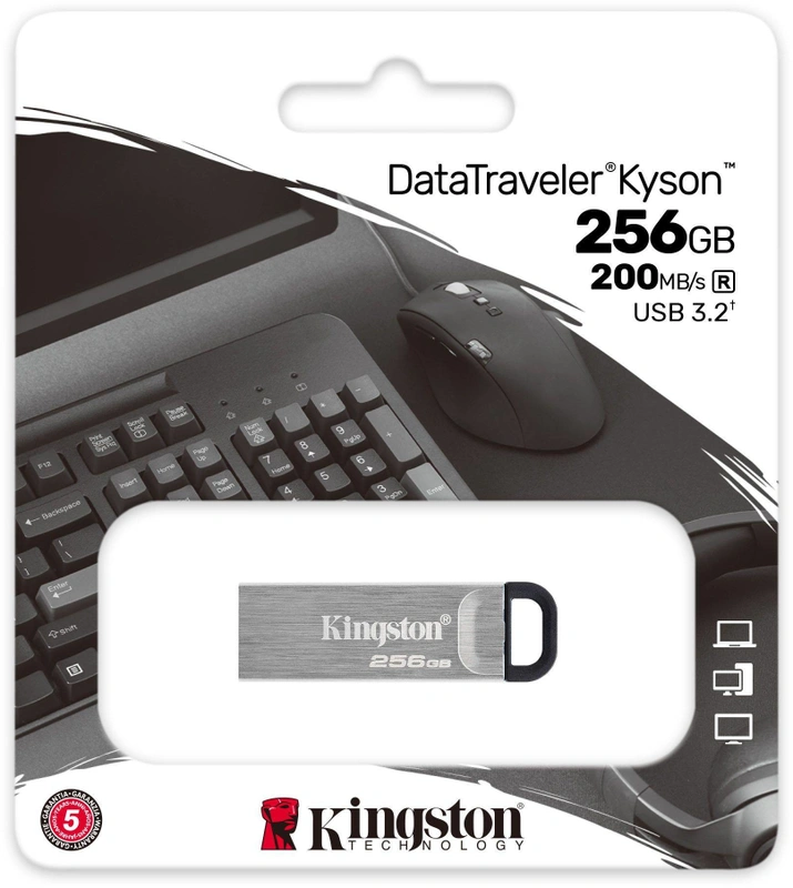Kingston Kyson 256GB Zilver