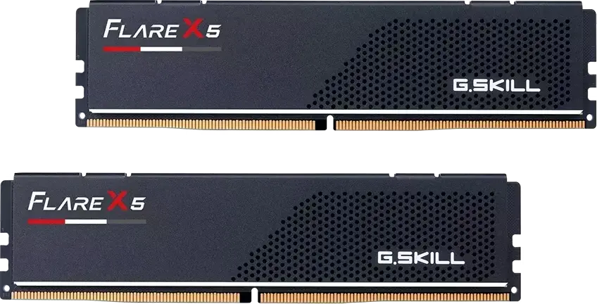 G.Skill Flare X5 F5-6000J3636F16GX2-FX5